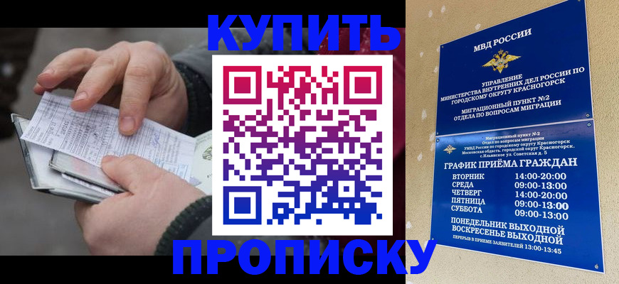 временная регистрация недорого в Алейске